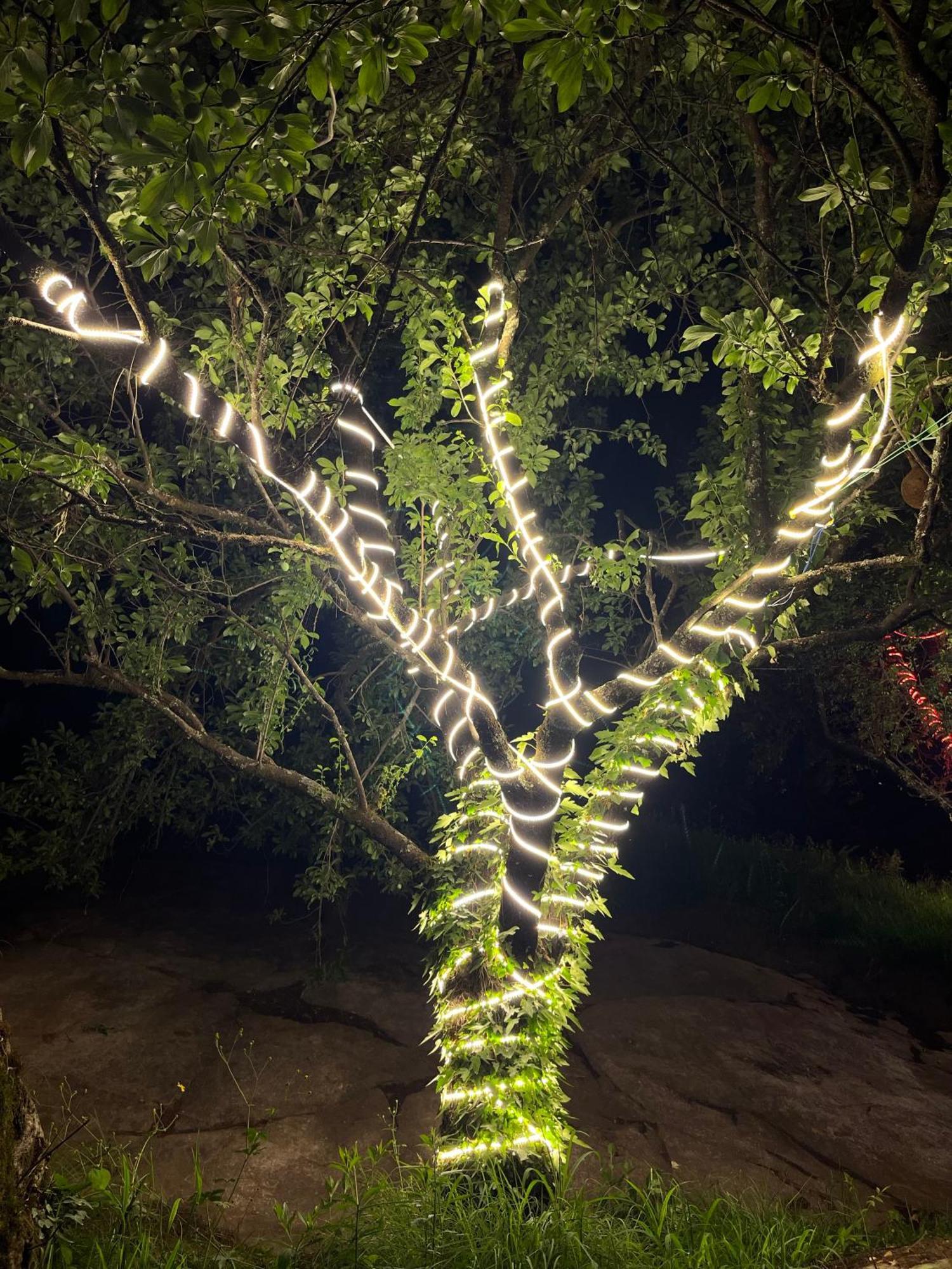 Ahava Kasol Riverside Cafe And Cottages Bagian luar foto